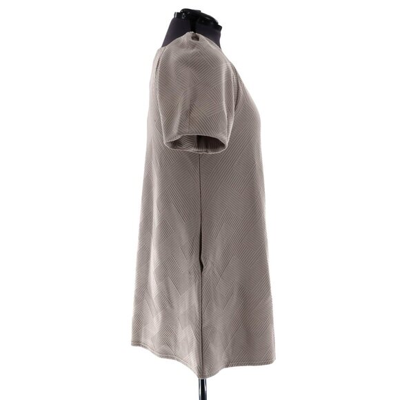 See N Be Seen Dress Womens 2X Taupe Romantic Career Night Out Brunch Event NWT - Picture 10 of 10